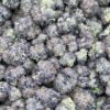Chem Dawg- Purple cut - Image 2
