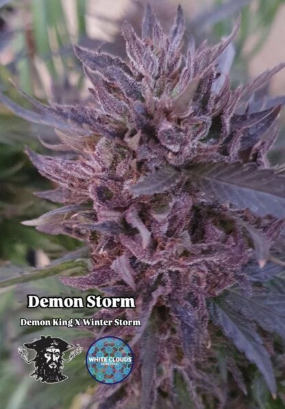 Demon Storm