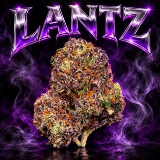 Lantz