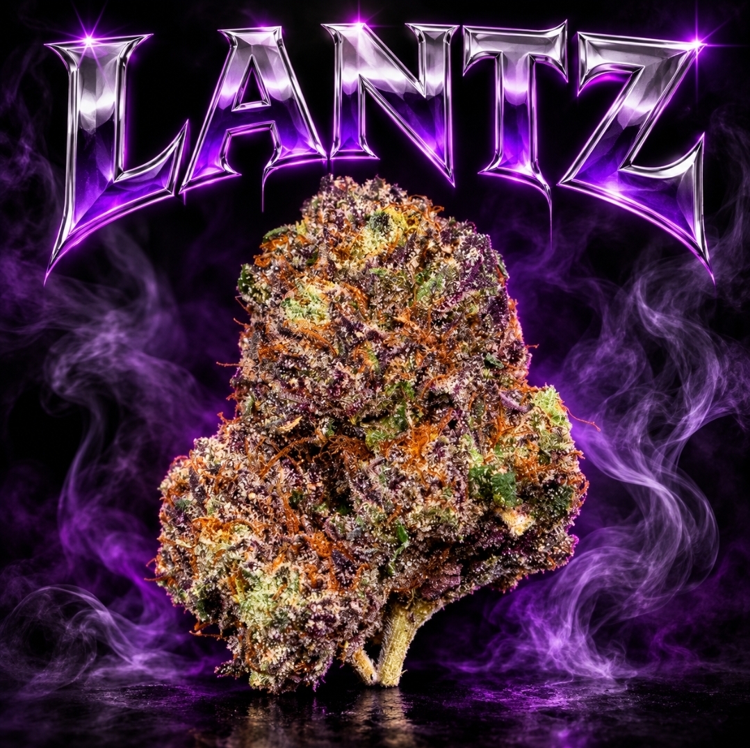Lantz